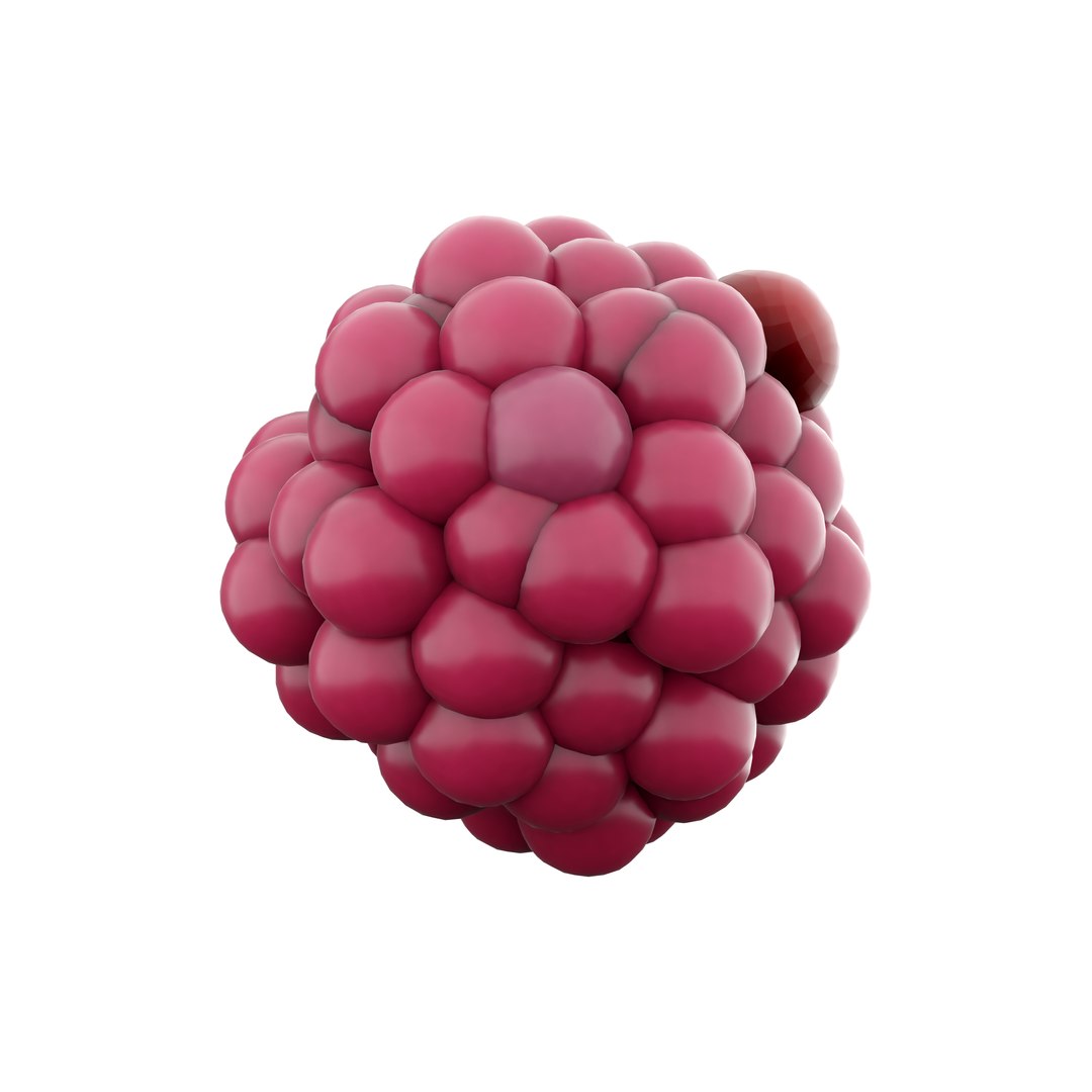 3D Cartoon Raspberry Icon Model - TurboSquid 2044243