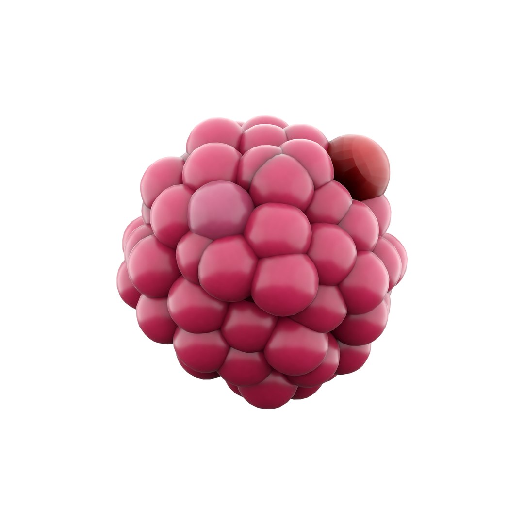 3D Cartoon Raspberry Icon Model - TurboSquid 2044243