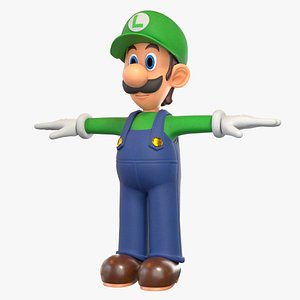 3D Luigi Character From Game