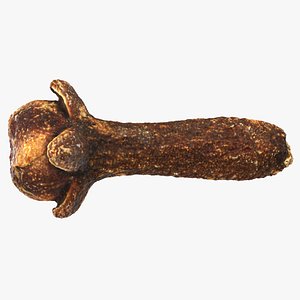 3D Natural Clove