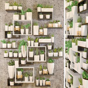 wall flower model