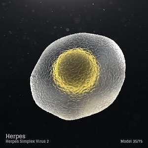 microbes bacteria cells 3D model