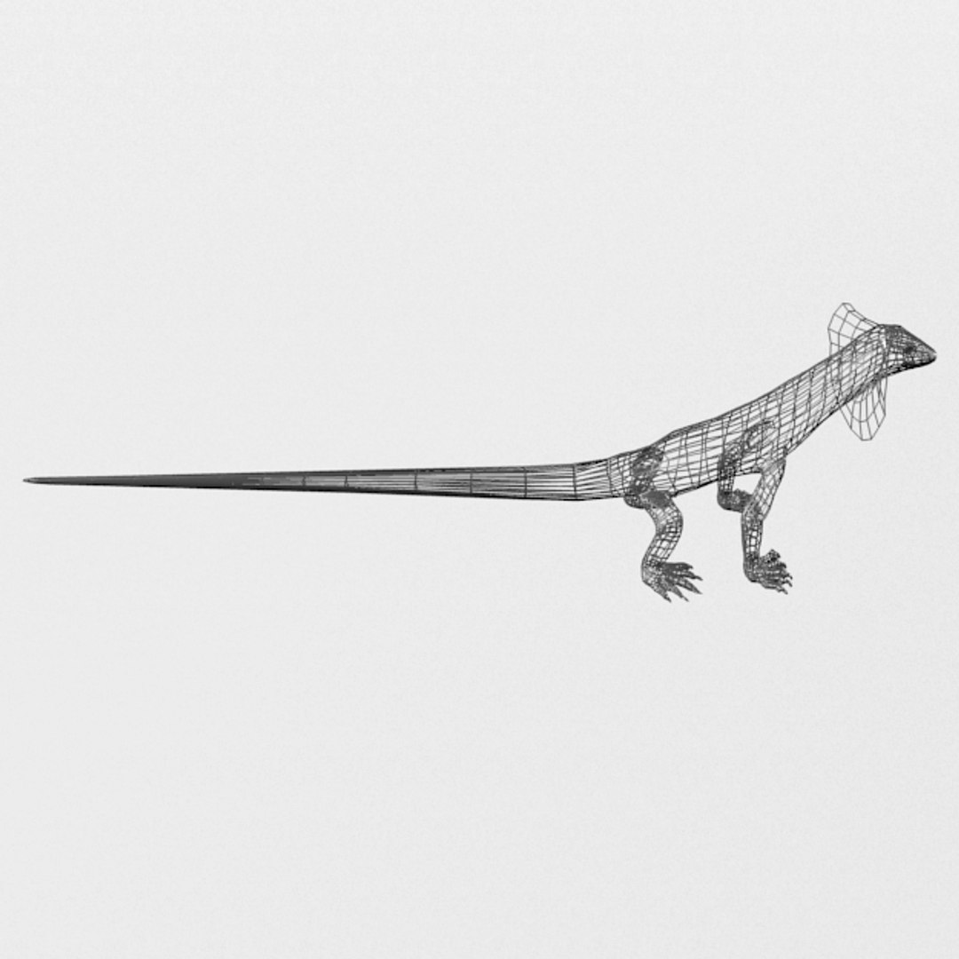 kingy lizard 3D model https://p.turbosquid.com/ts-thumb/7h/dsLyKI/X2ODPACb/lagartokingy_wire_realistic_side/jpg/1546957667/1920x1080/fit_q87/9bf9f5c52b86cdb54c2e14f47bb9ff22b127d7e4/lagartokingy_wire_realistic_side.jpg