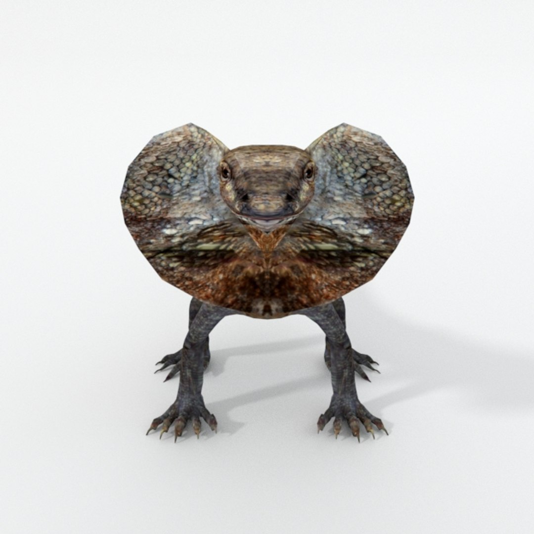 kingy lizard 3D model https://p.turbosquid.com/ts-thumb/7h/dsLyKI/u44G9fZ6/lagartokingy_realistic_front/jpg/1546957667/1920x1080/fit_q87/d98776ef51b1d4c4d2306e8e599dbaeaa3f031a8/lagartokingy_realistic_front.jpg