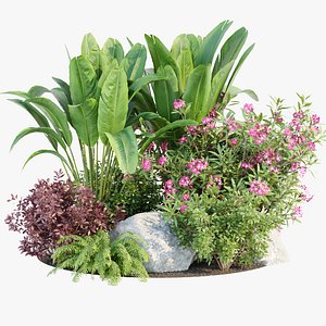 Outdoor Garden Plants Collection vol 136 3D