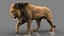 3D lion fur animation