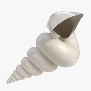 stylized triton seashell model