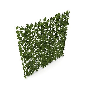 hedge panel 1m x 3D model