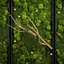 panel moss wall
