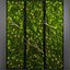 panel moss wall