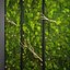 panel moss wall