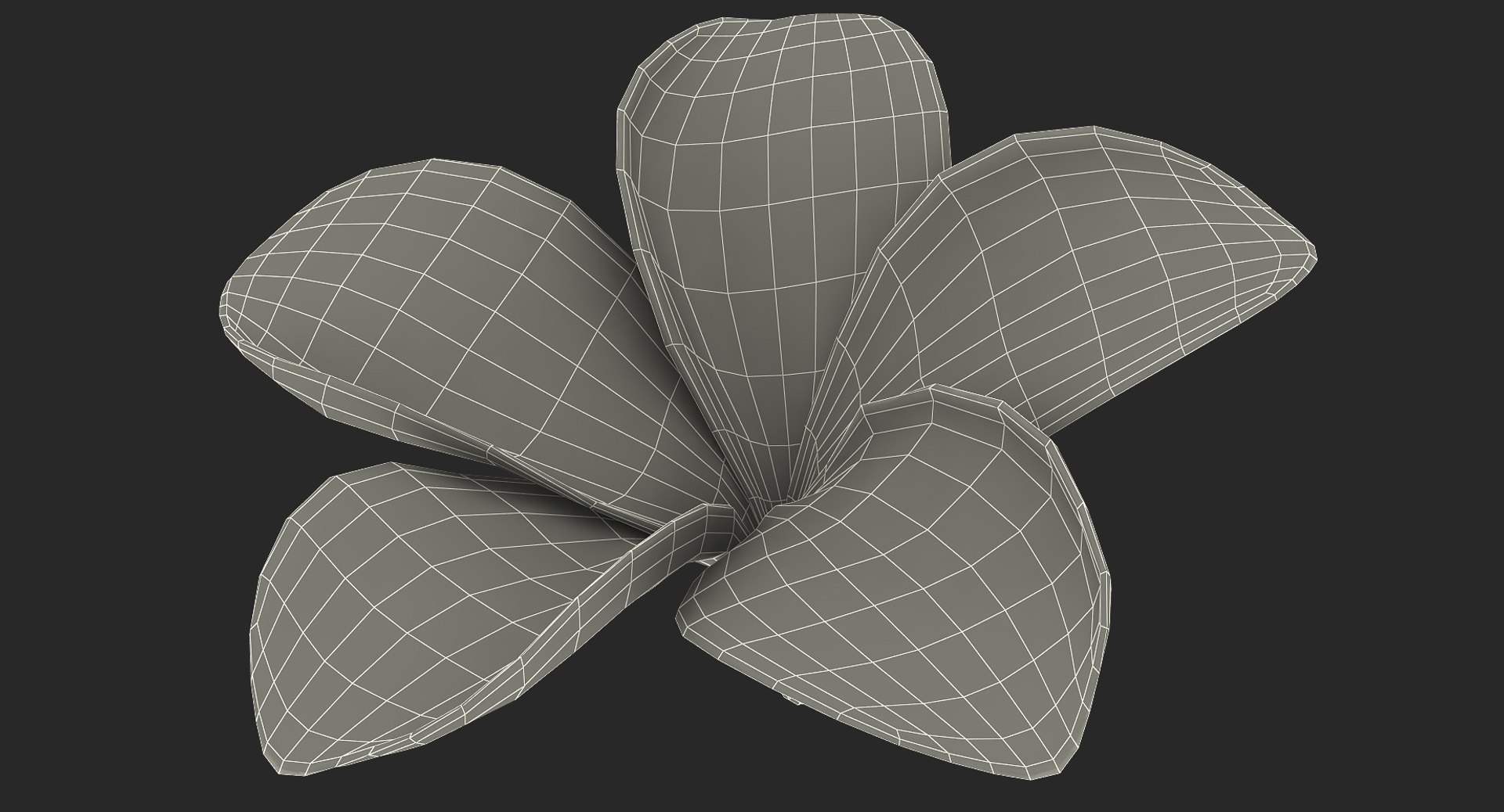 3D plumeria exotic flower model https://p.turbosquid.com/ts-thumb/7i/QeRiN7/0lkvQTwn/plumeriaexoticflowermb3dmodel016/jpg/1508681859/1920x1080/fit_q87/732b59ca9cc472fcbf829dace5439ace5272a71f/plumeriaexoticflowermb3dmodel016.jpg