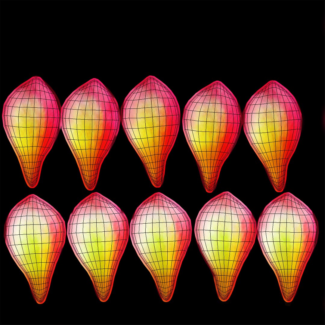 3D plumeria exotic flower model https://p.turbosquid.com/ts-thumb/7i/QeRiN7/CSt5mpeA/plumeriaexoticflowermb3dmodel009/jpg/1508681859/1920x1080/fit_q87/71f45bc7cbac86336b5ff4866d7cfe7d80a0e5a9/plumeriaexoticflowermb3dmodel009.jpg