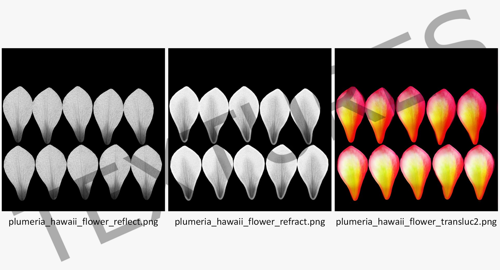 3D plumeria exotic flower model https://p.turbosquid.com/ts-thumb/7i/QeRiN7/EcUWXs6l/plumeriaexoticflowermb3dmodel010/jpg/1508681859/1920x1080/fit_q87/7684fe83359df0c1078837fe9c8dad6d23b7515b/plumeriaexoticflowermb3dmodel010.jpg