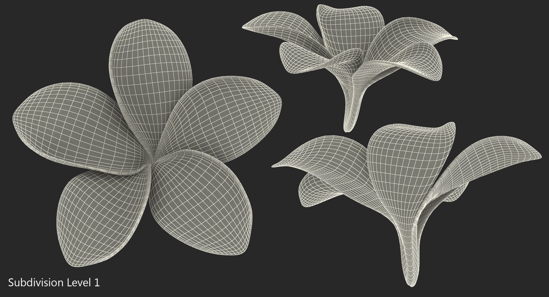 3D plumeria exotic flower model https://p.turbosquid.com/ts-thumb/7i/QeRiN7/LgPhg9gE/plumeriaexoticflowermb3dmodel008/jpg/1508681859/1920x1080/fit_q87/a6f7a7d145e4a21787e3de94c655f355a77123b6/plumeriaexoticflowermb3dmodel008.jpg