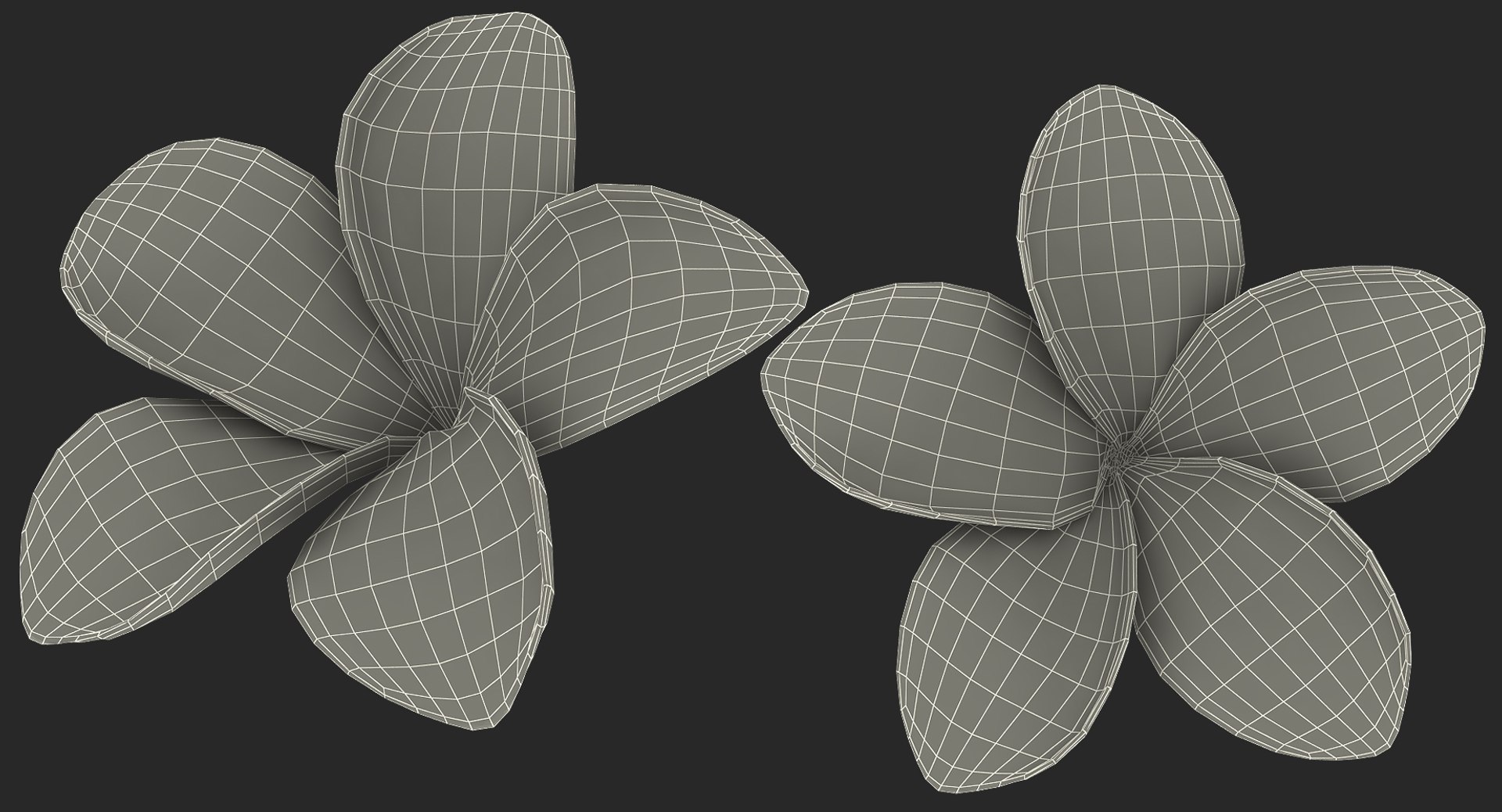 3D plumeria exotic flower model https://p.turbosquid.com/ts-thumb/7i/QeRiN7/we2HFcS1/plumeriaexoticflowermb3dmodel014/jpg/1508681859/1920x1080/fit_q87/6790c74c024340edab5d2519a13fed9c994e0990/plumeriaexoticflowermb3dmodel014.jpg