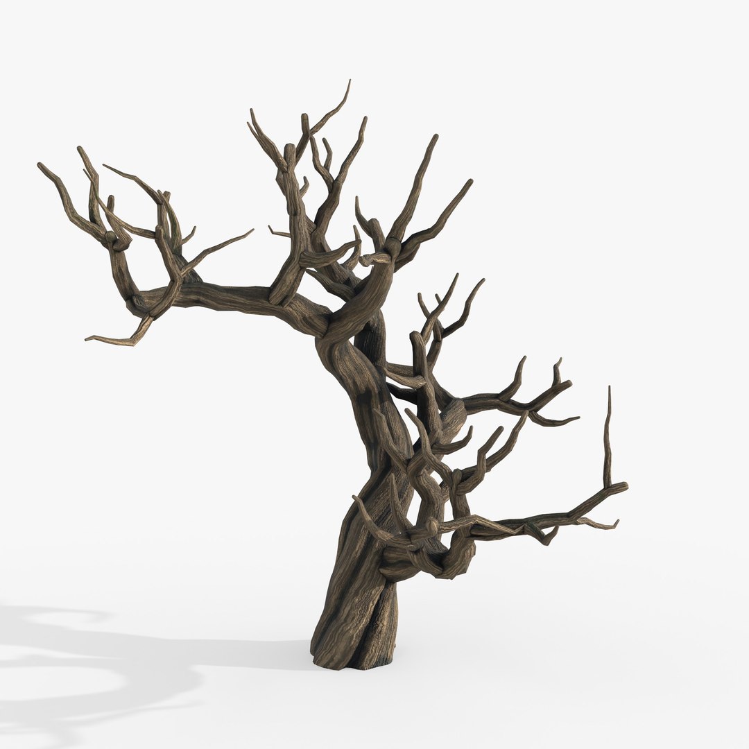 3D Aquarium Snag V12 https://p.turbosquid.com/ts-thumb/7i/XLcBRb/1I/5/jpg/1741347540/1920x1080/fit_q87/166e2d99e809b233d300aedb30d1346122fa1916/5.jpg