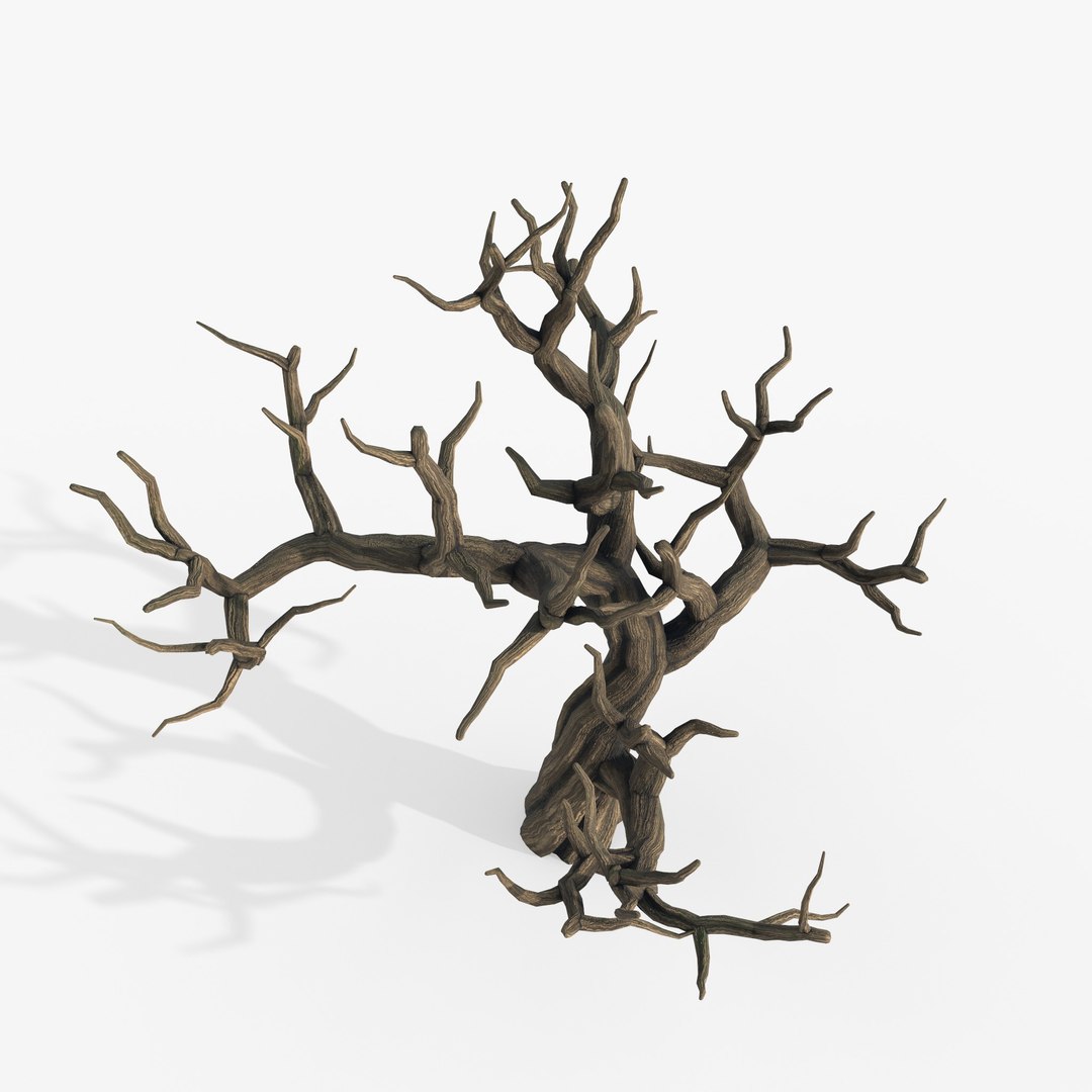 3D Aquarium Snag V12 https://p.turbosquid.com/ts-thumb/7i/XLcBRb/wJ/6/jpg/1741347541/1920x1080/fit_q87/40dcd7320f5b666167ccae134b6d64ad7388a564/6.jpg