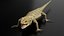 Bearded Dragon 3D Model 3D