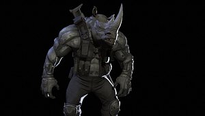 Rhino UnityPackage 3D