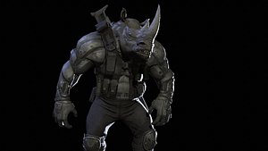 Rhino UnityPackage