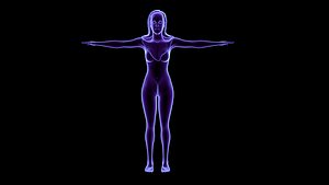 female human body with skeleton muscular system