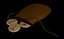 Rune set