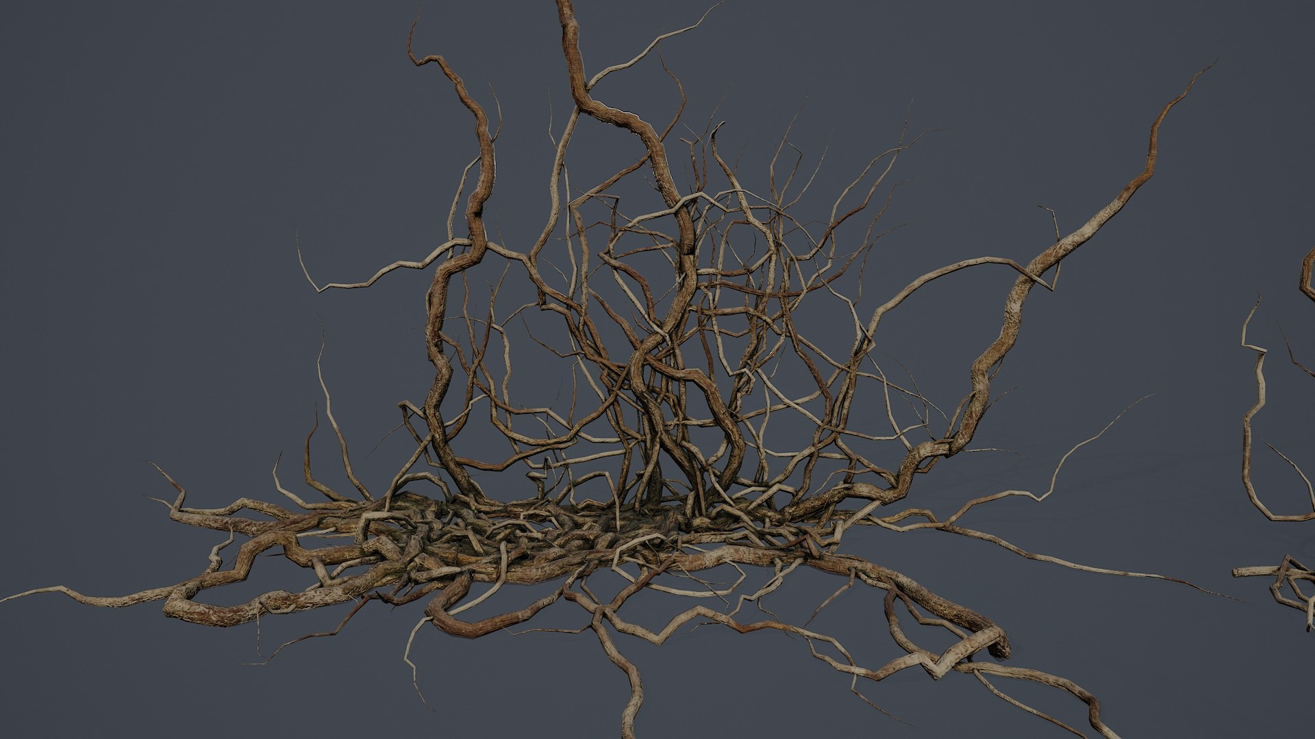 Wood Roots PBR V5 Model - TurboSquid 2531749