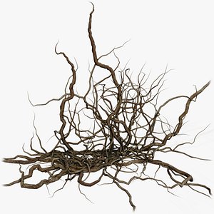 Wood Roots PBR v5 model