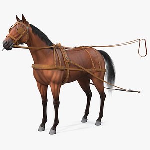 horse drawn leather single model