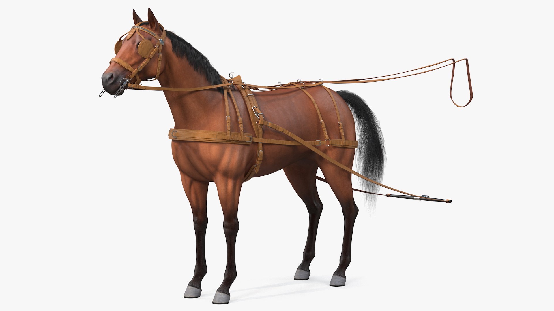 Horse Drawn Leather Single Driving Harness Fur 3D model preview