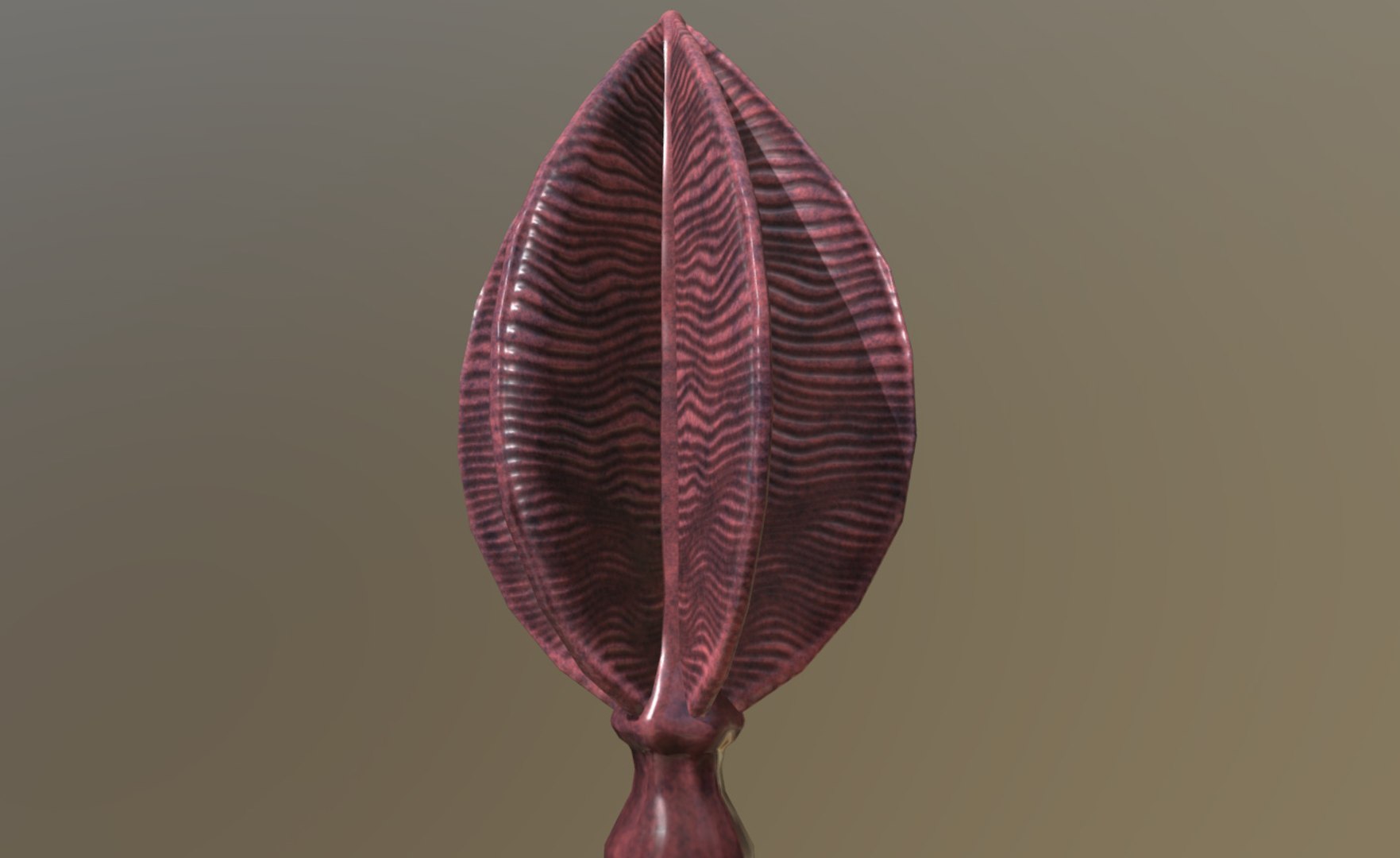 Rangea Animal Sealife 3D Model - TurboSquid 1334395