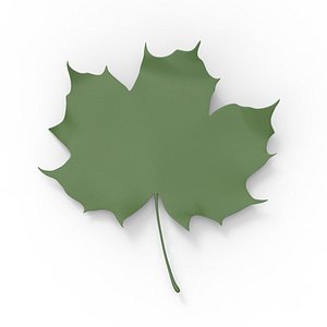 Fall leaf
