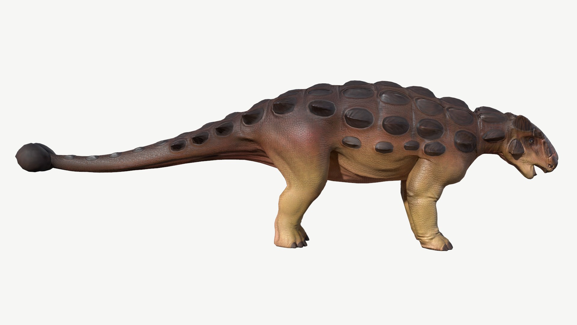 3D model Ankylosaurus https://p.turbosquid.com/ts-thumb/7j/kd2npl/Dx/2/png/1728548884/1920x1080/fit_q87/3f0c961552d57d69b1ea03edcbac2dc0569ee76a/2.jpg