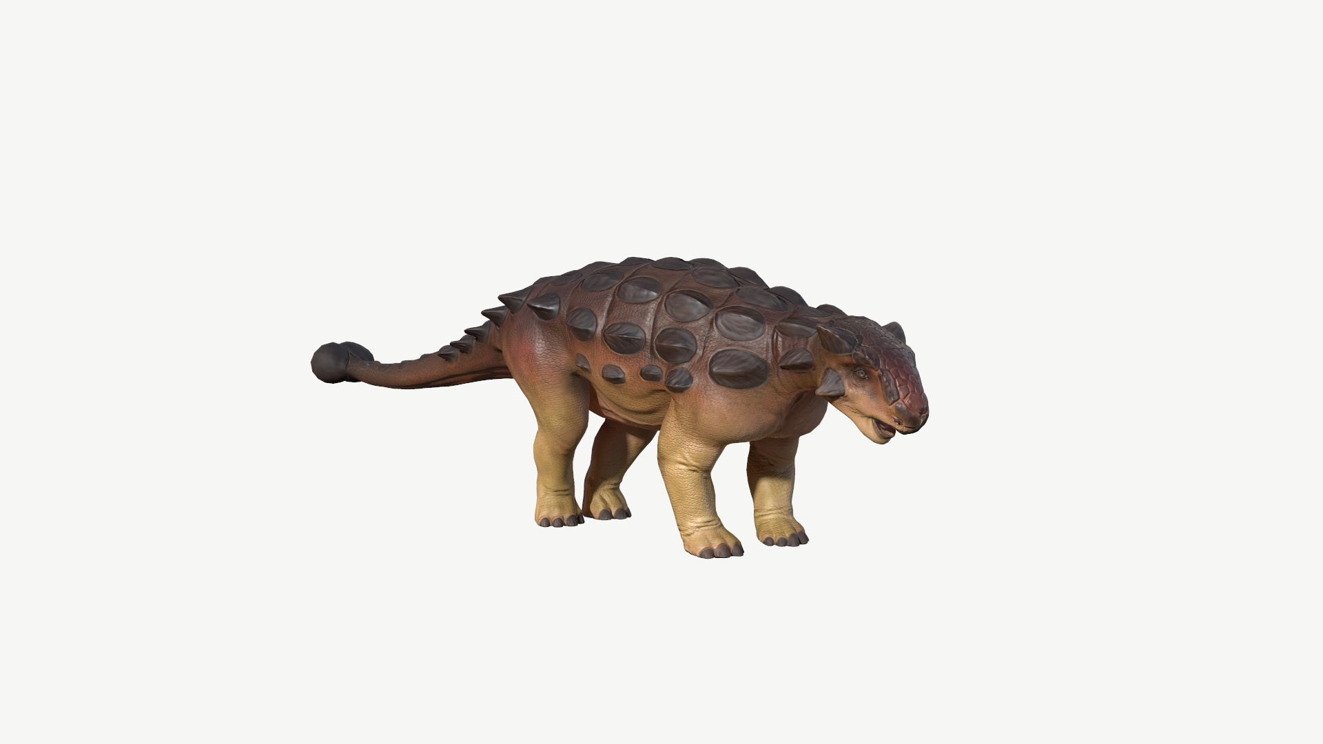 3D model Ankylosaurus https://p.turbosquid.com/ts-thumb/7j/kd2npl/qh/ankylosaurus/jpg/1728548926/1920x1080/turn_fit_q99/d7d55a3b3ca778a9927ddfc0fce9a6e12ae67aa2/ankylosaurus-1.jpg