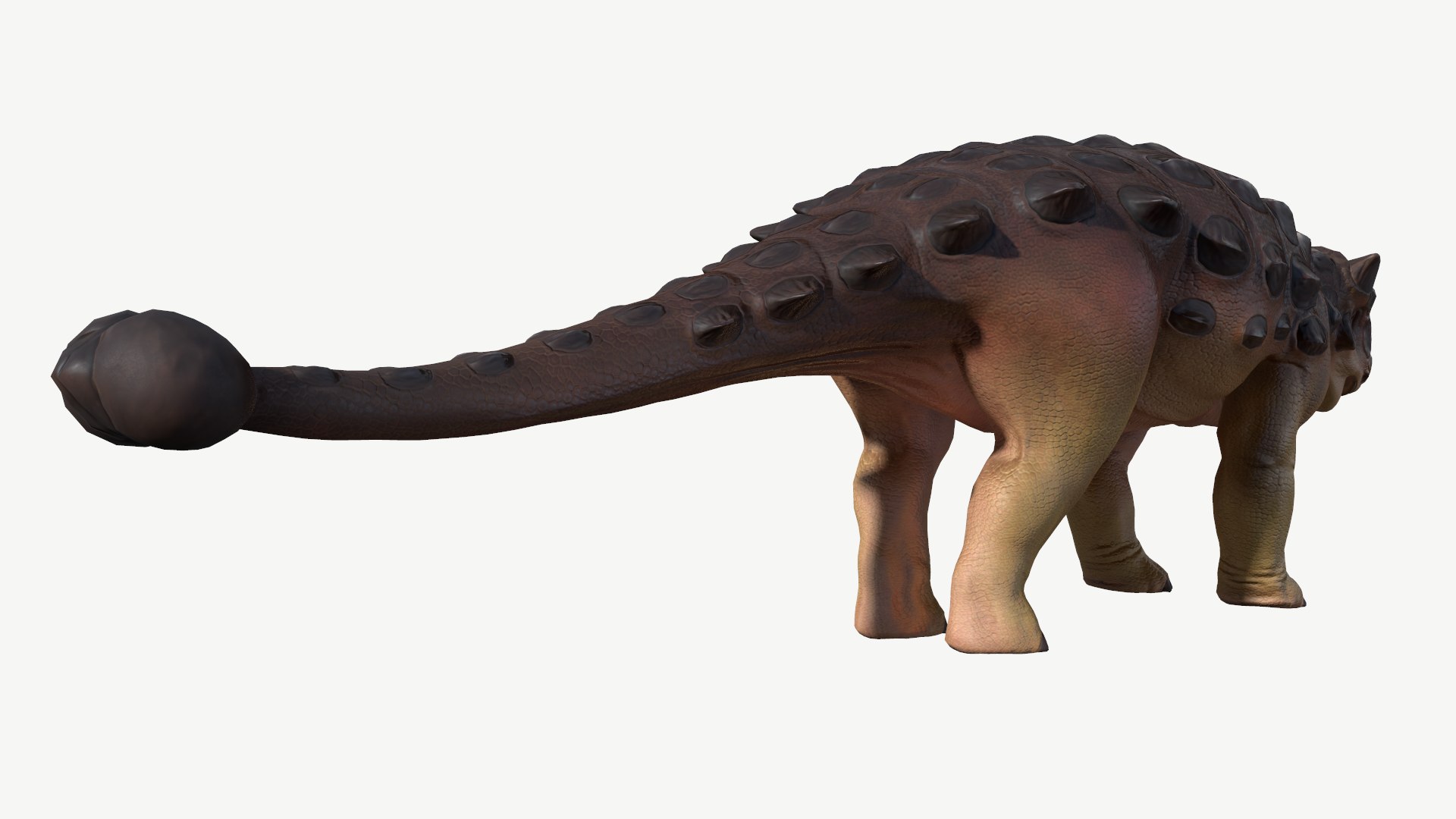 3D model Ankylosaurus https://p.turbosquid.com/ts-thumb/7j/kd2npl/rL/3/png/1728548885/1920x1080/fit_q87/888aec2f4314752f72056d703fa36f4d295d9cf4/3.jpg