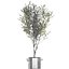 decorative olive tree black 3D model
