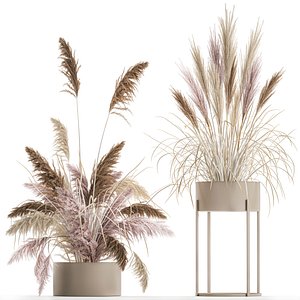 3D model Decorative Bouquet of dried pampas grass 196