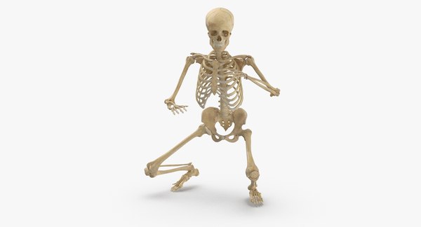 Human Female Skeleton Getting Up Poses Collection 01 - 6 models3Dモデル ...