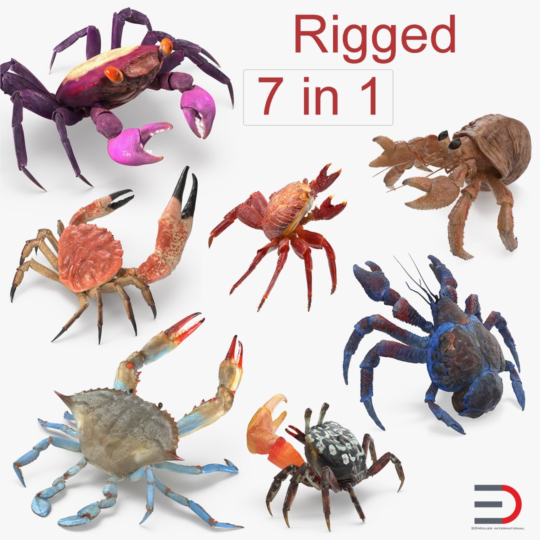 Rigged Crabs 3D Models Collection 2 3D model preview