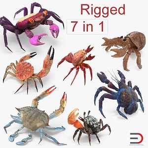 3D model rigged crabs 2