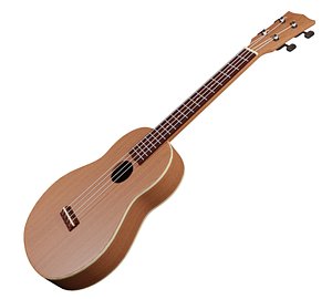 3D ukulele model