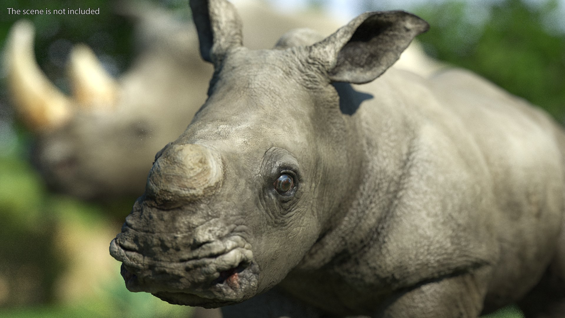 Baby Rhino Rigged 3D model preview