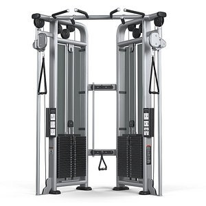 dual adjustable pulley 3D