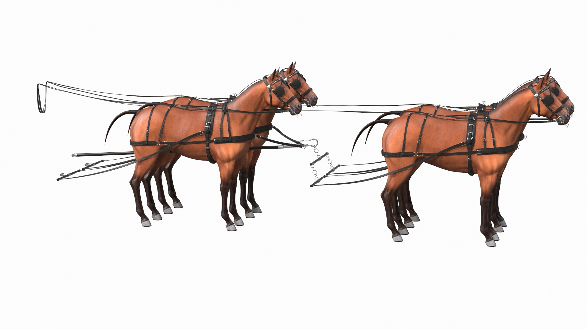 Four Horse Team with Harnesses Rigged model https://p.turbosquid.com/ts-thumb/7k/Y80cL2/FZ/four_horse_team_with_harnesses_rigged_363/jpg/1746157207/1920x1080/turn_fit_q99/6cfc6f0a3d6fe814a6f162e889356b4041f0afa2/four_horse_team_with_harnesses_rigged_363-1.jpg