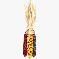 Flint Corn