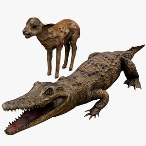 Deer and Crocodile Herbivore and Predator 3D model