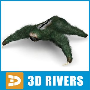 sloth animals mammals 3d model