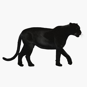 panther rigged 3D