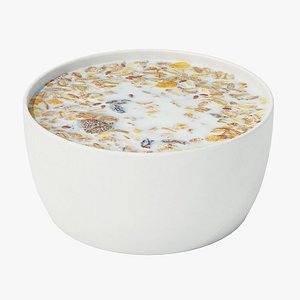 muesli bowl 3D model